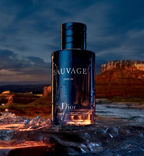 men's dior perfume sauvage|Dior Sauvage website.